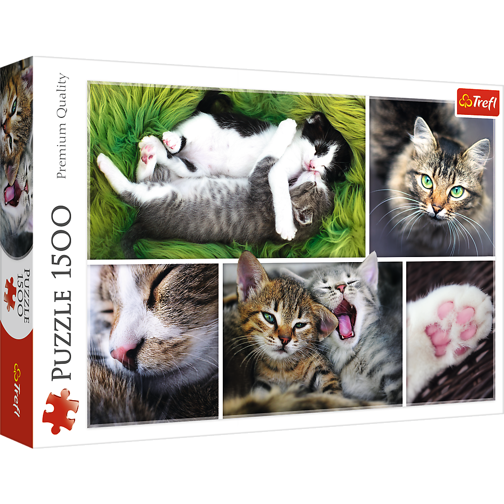 1500 Piece Jigsaw Puzzle, Just Cat Things Collage, Pets, Cats and Kittens, Animal Collage, Adult Puzzles