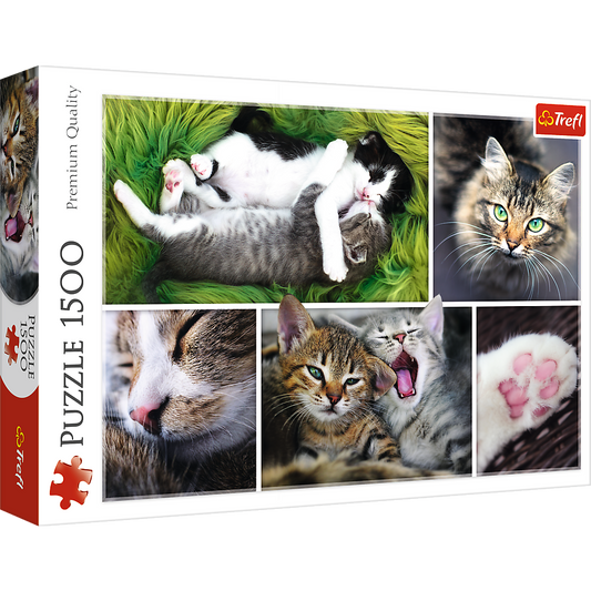 1500 Piece Jigsaw Puzzle, Just Cat Things Collage, Pets, Cats and Kittens, Animal Collage, Adult Puzzles