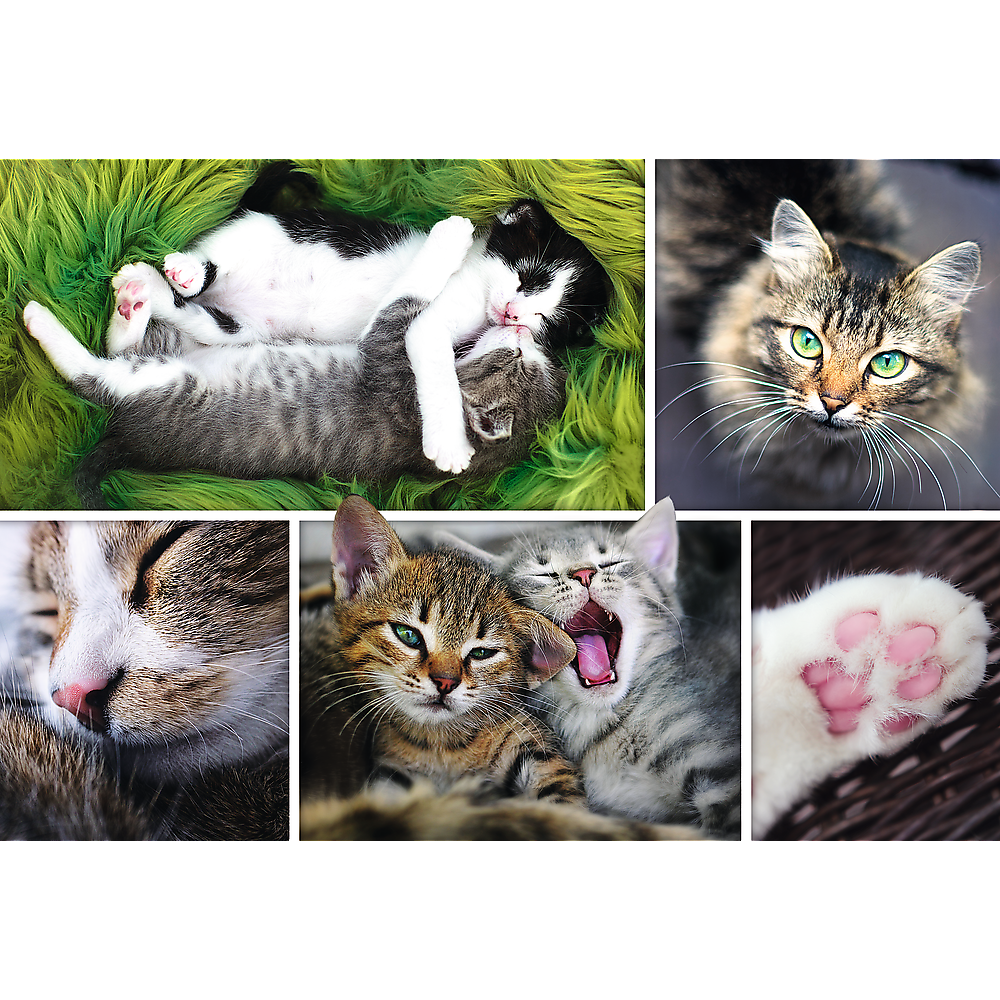 1500 Piece Jigsaw Puzzle, Just Cat Things Collage, Pets, Cats and Kittens, Animal Collage, Adult Puzzles