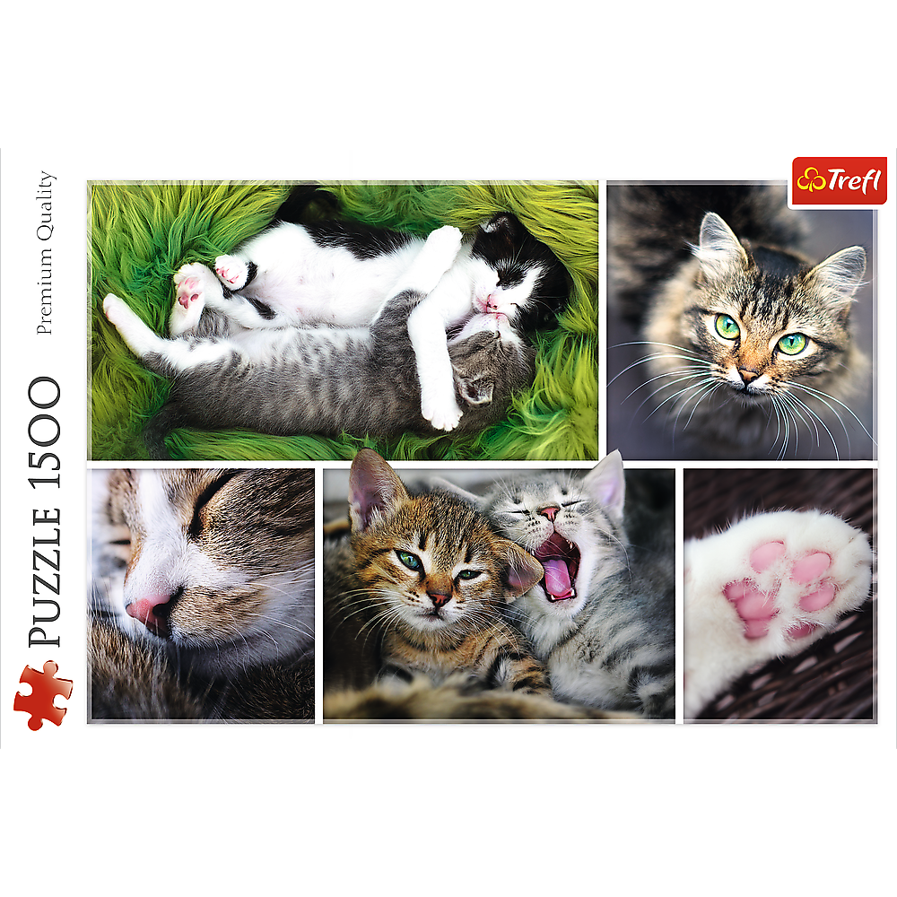 1500 Piece Jigsaw Puzzle, Just Cat Things Collage, Pets, Cats and Kittens, Animal Collage, Adult Puzzles