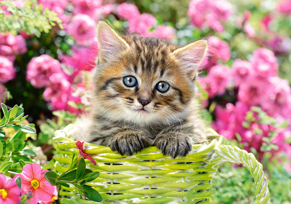 Castorland 500 Piece Kitten In Flower Garden Puzzle