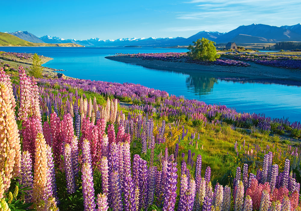 Lake Tekapo 500 Piece Jigsaw Puzzle Castorland New Zealand