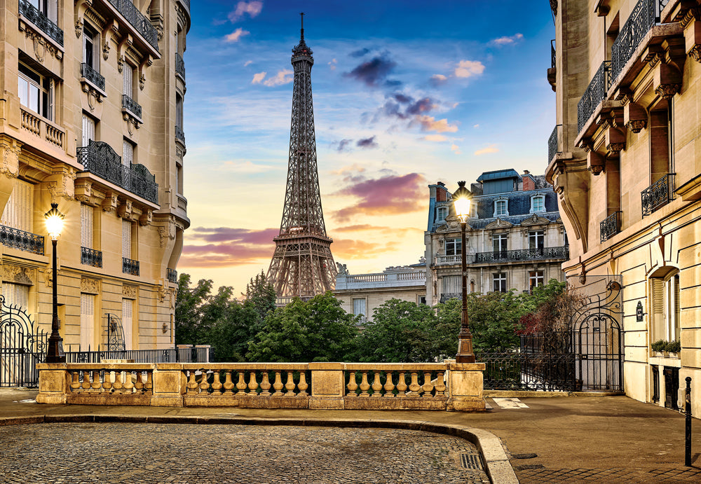 1000 Piece Jigsaw Puzzle, Walk in Paris at Sunset, Puzzle of France, cityscape, Eiffel Tower, Adult Puzzle