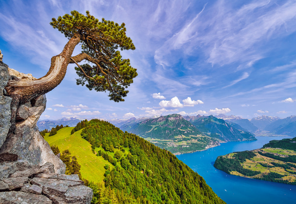 1000 Piece Jigsaw Puzzle, View of the Lake of Uri, Switzerland, Landscape puzzle, Mountain view, Adult Puzzle-2